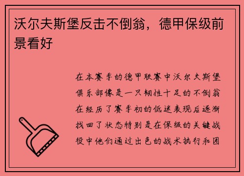 沃尔夫斯堡反击不倒翁，德甲保级前景看好