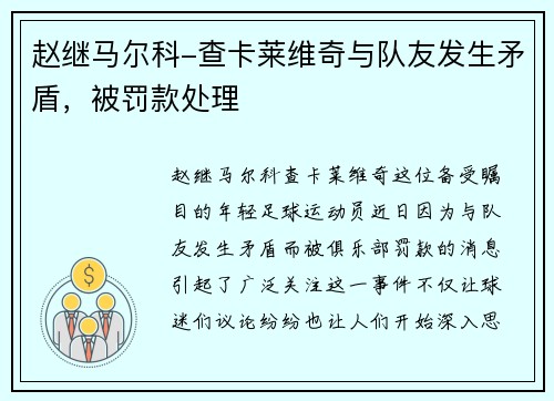 赵继马尔科-查卡莱维奇与队友发生矛盾，被罚款处理